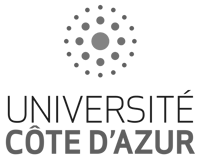 Client Storyfox universite-azur 