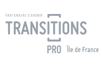 Transitions-pro-logo-grey-min